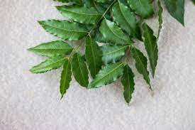 Sejumlah gambar rumah minimalis ini bisa menjadi inspirasi bagi kamu yang berencana membangun rumah atau merenovasi hunian. Dikenal Sebagai Daun Penyembuh Segala Penyakit Daun Mimba Ternyata Menyimpan Efek Samping Yang Tak Kalah Mengerikan Semua Halaman Nakita