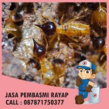 Semua kebutuhan anda terkait pest control kami kerjakan secara profesional, mengikuti standar dinkes dengan teknisi lapangan dan tenaga konsultan yang berpengalaman dan pest control. Call 087871750377 Jasa Pembasmi Rayap Di Cililin Bandung Anti Rayap Bandung
