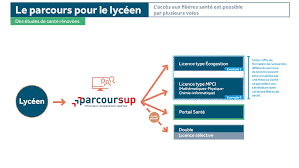 Maybe you would like to learn more about one of these? Etudes De Medecine Deux Voies D Acces Proposees Arbitrages En Janvier Le Quotidien Du Medecin