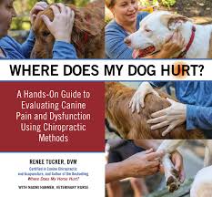 But a dog that has been quiet for a long time should have steady, calm breathing. Where Does My Dog Hurt A Hands On Guide To Evaluating Pain And Dysfunction Using Chiropractic Methods Tucker Renee Harmer Naomi 9781570769931 Amazon Com Books