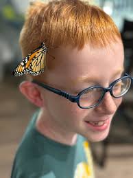 Great find at Lowe's.