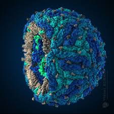 Pin En Virus
