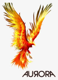 Check spelling or type a new query. Crow Skin Phoenix Phoenix Crow Brawl Stars Transparent Png 647x1023 Free Download On Nicepng