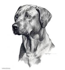 Photo to pencil sketch is a difficult and composite task to get the best effect. 50 Realistic Pencil Drawings And Drawing Ideas For Beginners