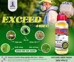 Exceed 440EC