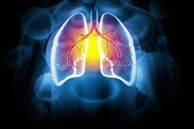 Bronchitis - HealthKunj Clinics
