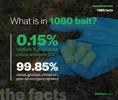 Image result for 1080