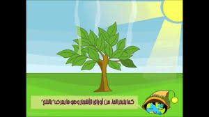 درس دورة الماء للصف الخامس الفصل الاول للمعلمة عائشة بخاري Youtube