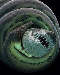 Nov 09, 2016 · titanoboa, discovered by museum scientists, was the largest snake that ever lived. Titanoboa Monster Snake