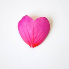 Petalon leaf, thin plate, originally neut. Rose Petal Quotes Quotesgram