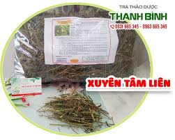 Lọc lấy nước và thêm chút mật ong vào uống. Mua Xuyen Tam Lien á»Ÿ Ä'au Táº¡i Tphcm