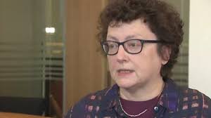 Ex-Plaid chief's Welsh Assembly adviser role a 'farce'