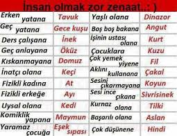 Nese Nin Gozdeleri Alintilar Ozlu Sozler Guzel Soz