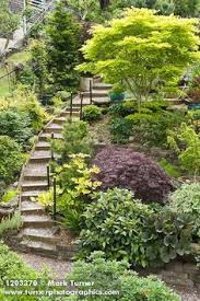 Hillside Garden On Pinterest Hillside Landscaping Hillside Garden Sloped Garden