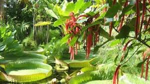 Le jardin botanique du montet est situé aux portes de nancy. Nancy Le Conservatoire Et Jardin Botanique Les Jardins Ephemeres