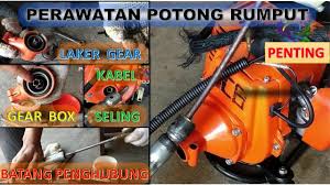Mesin pemotong rumput adalah mesin yang digunakan untuk merajang atau mencacah rumput rumputan yang sebagai bahan pakan ternak. Cara Mengatasi Mesin Potong Rumput Bisa Nyala Tetapi Saat Mesin Di Gas Malah Mati Youtube