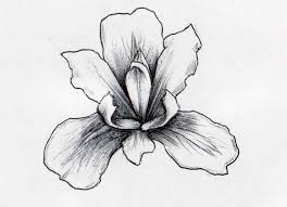 Greek for rainbow, the iris comes in many shapes. Cool Black Ink Iris Flower Tattoo Design