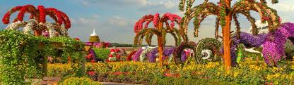Dubai tourist attractions are every bit worth your time. Dubai Miracle Garden Tickets Attractions To The World S Largest Flower Park