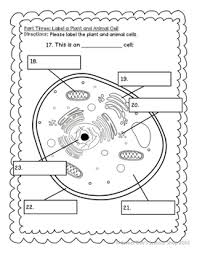 Maybe you would like to learn more about one of these? 33 Label Plant And Animal Cell Labels Design Ideas 2020