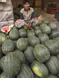 market in amman jordan | ... the Fruit and Vegetable Market, Amman, Jordan.  Photo: Christian Kober