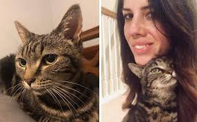 Câu chuyện chú mèo đi lạc 13 năm bất ngờ đoàn tụ với chủ cũ khiến dân mạng  cảm động