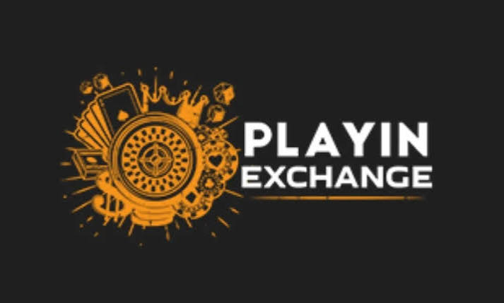 Playexchange Highlights Payment Flexibility, Withdrawal Processes, and User Security Measures for Online Platform Users