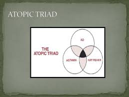 Image result for Allergic Triad