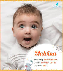 Malvina Name Meaning & Origin: A Comprehensive Guide