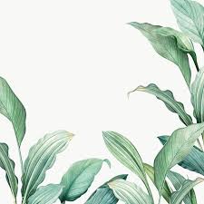 Download Premium Png Of Hand Drawn Tropical Leaves Png Transparent Tropical Leaves Leaf Background How To Draw Hands