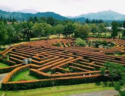 Cara menggambar bunga mawar dengan mudah cocok untuk anak anak. Taman Bunga Nusantara Tiket 9 Zona Taman Agustus 2021 Travelspromo