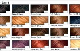 Shades Medium Brown Hair Color Chart Medium Hair Styles