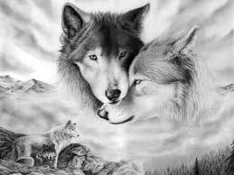 Wolf galaxy wallpaper download wolf galaxy wallpaper free cool wallpapers: Free Wallpapers Wolves Wallpaper Cave