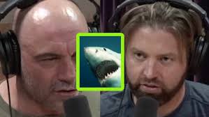 This Massive Freak Squid Was Caught