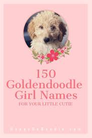 150 Goldendoodle Girl Names Cute Unique A Dood Able In 2020 Girl Dog Names Puppy Girl Names Puppies Names Female