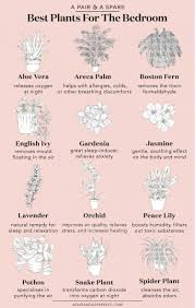 Robert B Parkers Slow Burn Spenser By Ace Atkins 0425283194 9780425283196 In 2020 Bedroom Plants House Plants Indoor Apartment Garden