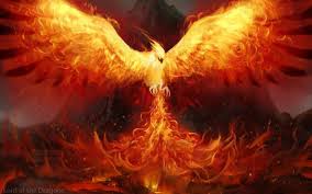What bird looks like a phoenix? The Phoenix Wallpapers Wallpaper Cave