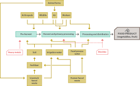 We did not find results for: Role Played By The Environment In The Emergence And Spread Of Antimicrobial Resistance Amr Through The Food Chain 2021 Efsa Journal Wiley Online Library