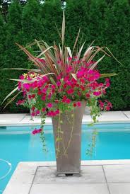 Delightful Height Flowers Pool Pots Container Gardening Flowers Container Plants Outdoor Flowers