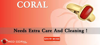 Maybe you would like to learn more about one of these? Do You Have Any Idea How To Clean Red Coral Gemstone See At Http Bit Ly 1kqsqrc Coral Red Coral Coral Stone