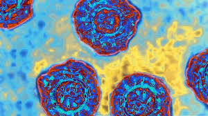 When the liver is inflamed or damaged, its function can be affected. A Researcher Reflects On Progress Fighting Hepatitis C And A Path Forward