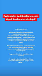 Hersey Panosundaki Pin