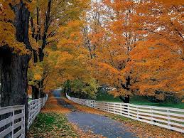 If you're looking for the best autumn scenes wallpaper then wallpapertag is the place to be. Autumn Scenes Wallpapers Top Free Autumn Scenes Backgrounds Wallpaperaccess