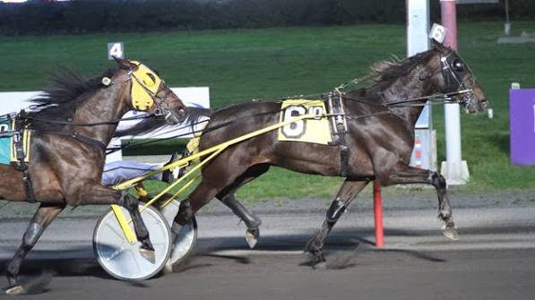 Lexus Kody wins the $1M International Trot! #harnessracing X Yonkers Raceway