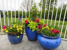 Place one large pot at the center and then add smaller plants around the outside to adorn and decorate. Pin By Vicky Myers On Containers I Created Container Gardening Garden Containers Plant Combinations