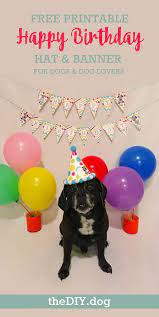 Celebrating Dog Birthdays Free Printable Party Kit Diy Birthday Hat For Dog Dog Birthday Happy Birthday Banner Printable