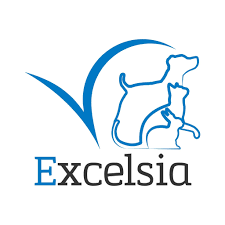 Clinique Vétérinaire Excelsia