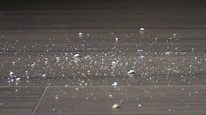 Du kannst den einfachen haushaltsessig auf vielerlei arten gegen ameisen anwenden. Ameisen Im Haus Bekampfen Was Kann Man Gegen Ameisen Tun