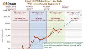 Bitcoin halving — historical scenario analysis charts in excel & googlesheets. Explaining The Bitcoin Halving