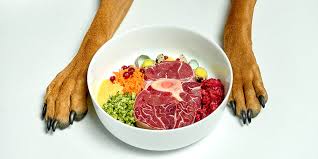Check spelling or type a new query. What Foods Can My Dogs Eat If I Ve Run Out Of Dog Food