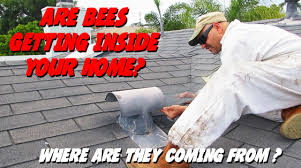 When he placed regular, cool dead bees in a hive, workers always removed them within half an hour. Bees Are Getting Inside My Home Where Are They Coming From Bee Best Bee Removal